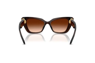 Bagside Swarovski SK6047 (108474)