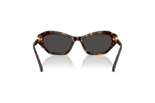 Bagside Swarovski SK6048 (100287)