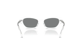 Bagside Swarovski SK6048 (102787)