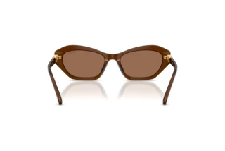 Bagside Swarovski SK6048 (108473)