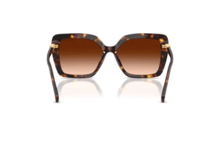 Bagside Swarovski SK6049 (100274)