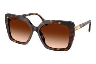 Forfra Swarovski SK6049 (100274)