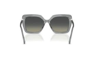 Bagside Swarovski SK6049 (106211)