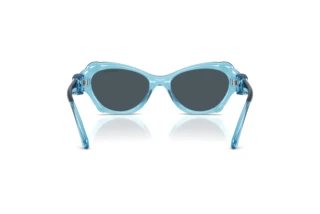 Bagside Swarovski SK6050 (107887)