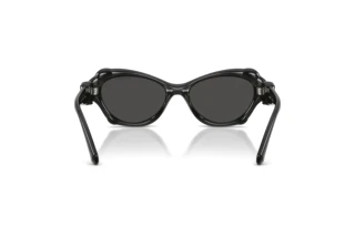 Bagside Swarovski SK6050 (108787)