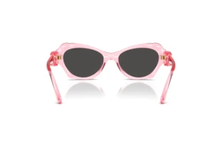 Bagside Swarovski SK6050 (108887)