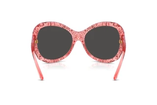 Bagside Swarovski SK6052 (108887)