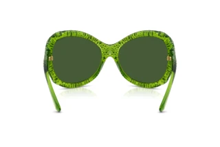 Bagside Swarovski SK6052 (108971)