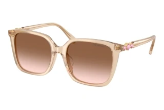 Forfra Swarovski SK6053D (103413)