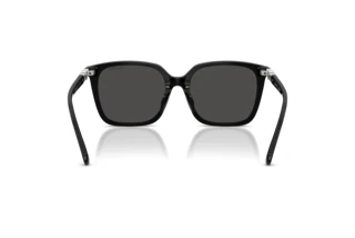 Bagside Swarovski SK6053D (103887)