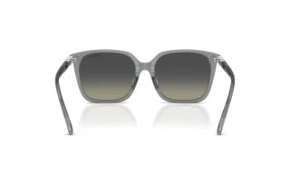 Bagside Swarovski SK6053D (106211)