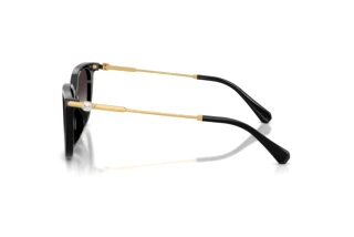 Sidevisning Swarovski SK6054D (10018G)