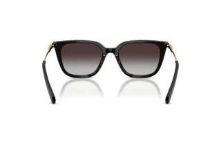 Bagside Swarovski SK6054D (10018G)