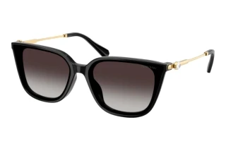 Forfra Swarovski SK6054D (10018G)