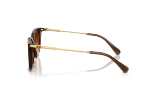 Sidevisning Swarovski SK6054D (108474)