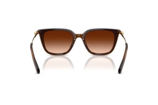 Bagside Swarovski SK6054D (108474)