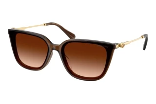 Forfra Swarovski SK6054D (108474)