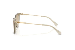 Sidevisning Swarovski SK6054D (300311)