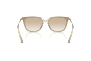 Bagside Swarovski SK6054D (300311)