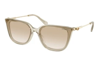 Forfra Swarovski SK6054D (300311)