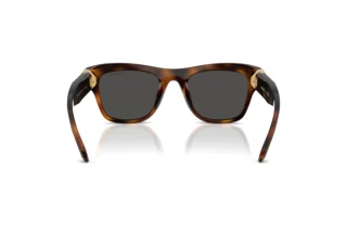 Bagside Swarovski SK6056U (100287)