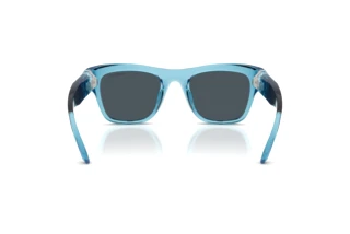 Bagside Swarovski SK6056U (107887)