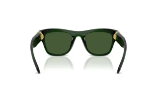 Bagside Swarovski SK6056U (108171)