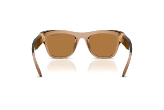 Bagside Swarovski SK6056U (109273)