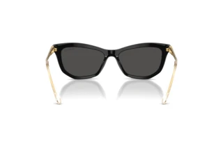 Bagside Swarovski SK6057 (100187)