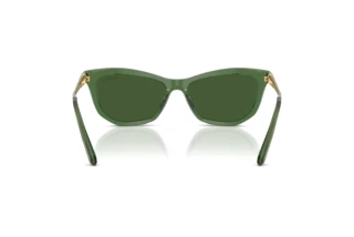 Bagside Swarovski SK6057 (108571)