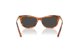 Bagside Swarovski SK6057 (109187)