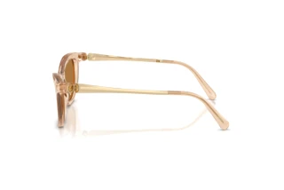 Sidevisning Swarovski SK6057 (109273)