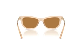 Bagside Swarovski SK6057 (109273)