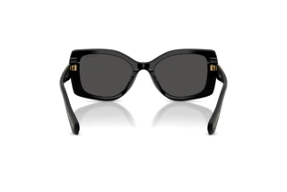 Bagside Swarovski SK6058U (100187)