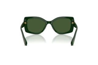 Bagside Swarovski SK6058U (102671)