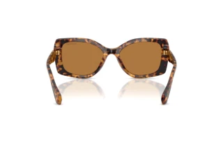 Bagside Swarovski SK6058U (104073)