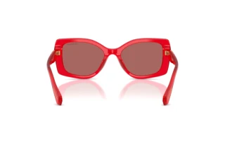 Bagside Swarovski SK6058U (110369)