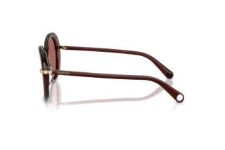 Sidevisning Swarovski SK6059 (109869)