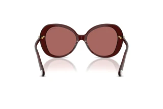 Bagside Swarovski SK6059 (109869)