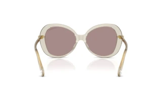 Bagside Swarovski SK6059 (3003LA)