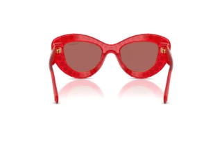 Bagside Swarovski SK6060 (110369)