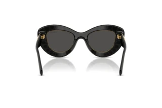 Bagside Swarovski SK6060 (110487)