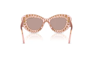 Bagside Swarovski SK6060 (30017N)