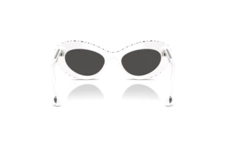 Bagside Swarovski SK6061U (105087)