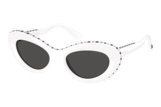 Forfra Swarovski SK6061U (105087)