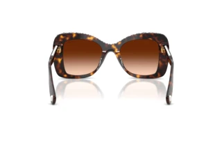 Bagside Swarovski SK6062U (109474)