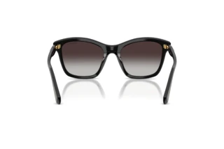 Bagside Swarovski SK6063 (10018G)