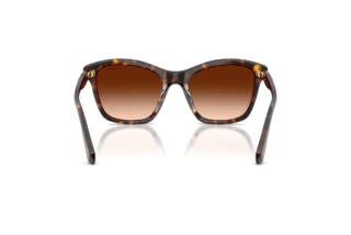 Bagside Swarovski SK6063 (100274)