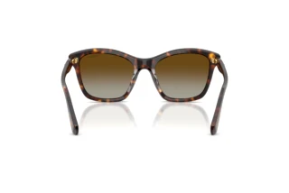 Bagside Swarovski SK6063 (1002T5)