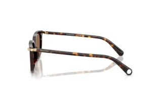 Sidevisning Swarovski SK6064D (100273)